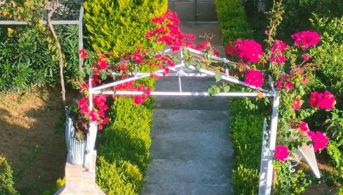 House with Wonderful View - Foto 2, Garden view