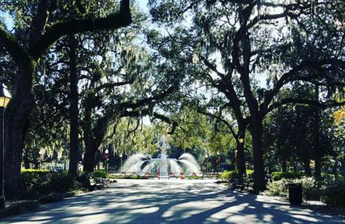 Starland Victorian Gem - Foto 25