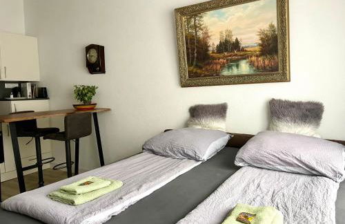 Goldstadt Classic Suite - City Apartament am Schlössle - Foto 7