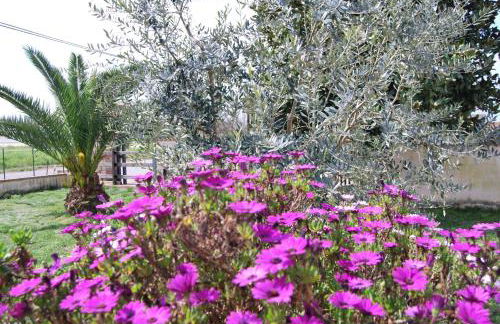 Agriturismo Torre Cristina - Foto 24