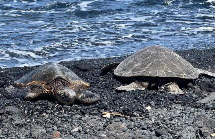 Shores at Waikoloa 132 Hale Kai - Foto 78