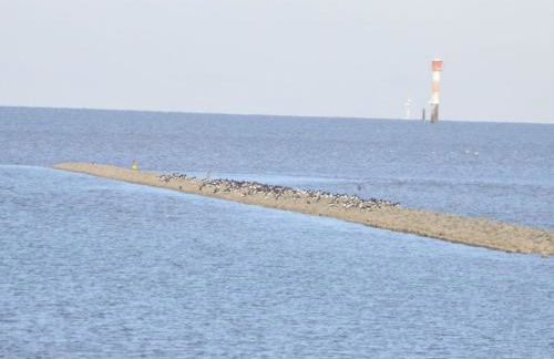 Grand Reverend Deichstern - Foto 18