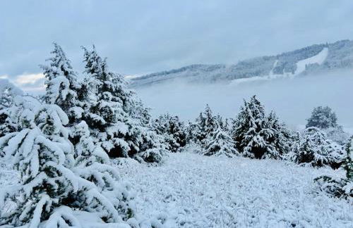 Panoramablick mit Premium-Wanderwegen vor der Haustür - Foto 55
