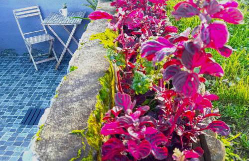 Casa da Salga - Photo 40