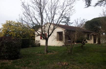 Les Mimosas - Foto 16