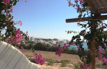 Apollon Koufonisia Studios - Photo 4