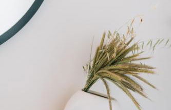 Apolithon Premium Houses - Photo 53