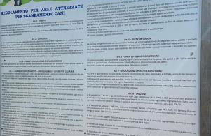 Oasi degli ulivi con piscina privata tra Versilia e Cinque Terre - Foto 35