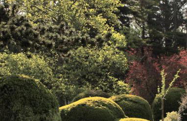 Escapade nature à deux dans un gîte cosy bordé d'un parc arboré - Foto 21