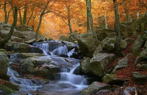 Viladrau Paz y Naturaleza - Foto 14