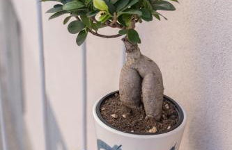 Casa Alderotti - Photo 33