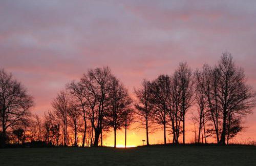 Gîtes à l'ombre des chênes - Foto 37