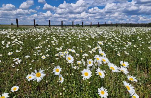 GRETA Nowoczesny domek modułowy nad stawem - Foto 29