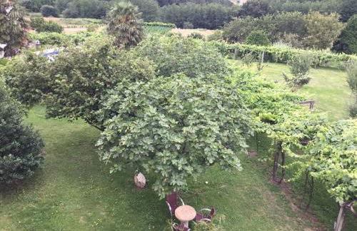 Casa Hipólito - Foto 47