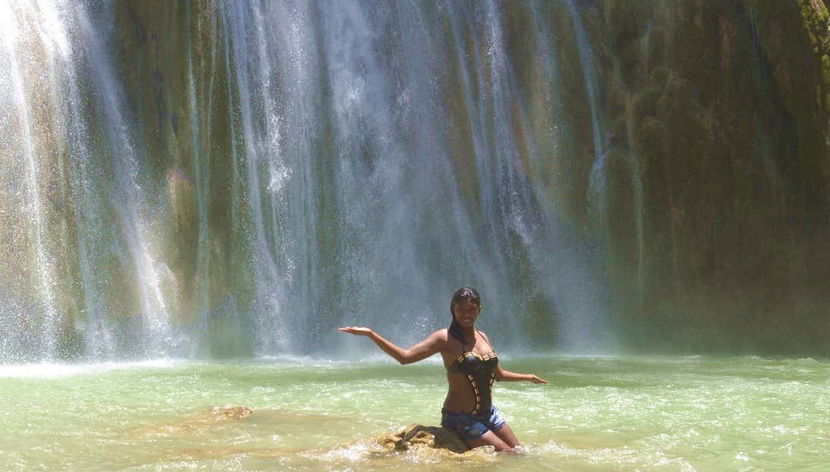 Whale Watching in Samaná + El Limón Waterfall - Foto 3