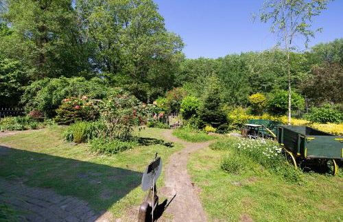 Im grünen Winkel - Foto 19