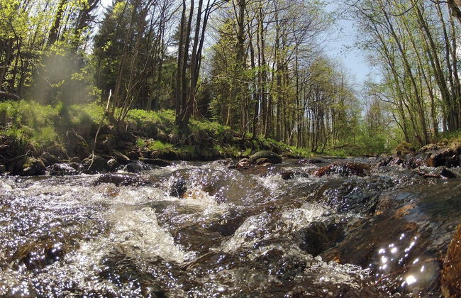 Doppelhaushalfte in Hasselfelde - Foto 15