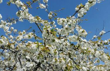 Domaine les Moustans - Foto 40