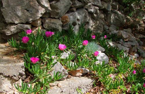 Seaside stone house - Foto 38