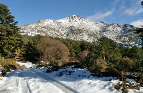 Complejo Turístico Las Cañadas Casas de Campo- Actividades Gratuitas Todos los Fines de Semana - Foto 70