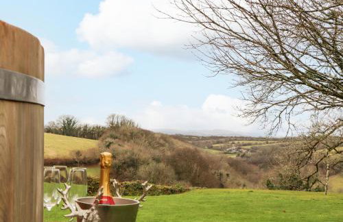 Treveddoe Farmhouse - Foto 44