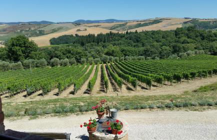 Agriturismo Mocine - Foto 14