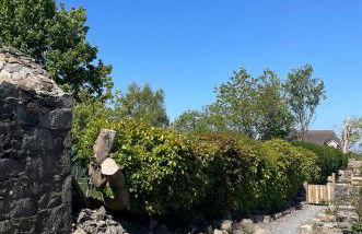 Pink Cottage - Foto 76