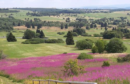 Ferienwohnung Mondfänger - Photo 31