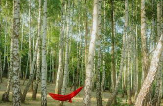 Domki W Sam Las & SPA Lubenia - Foto 9