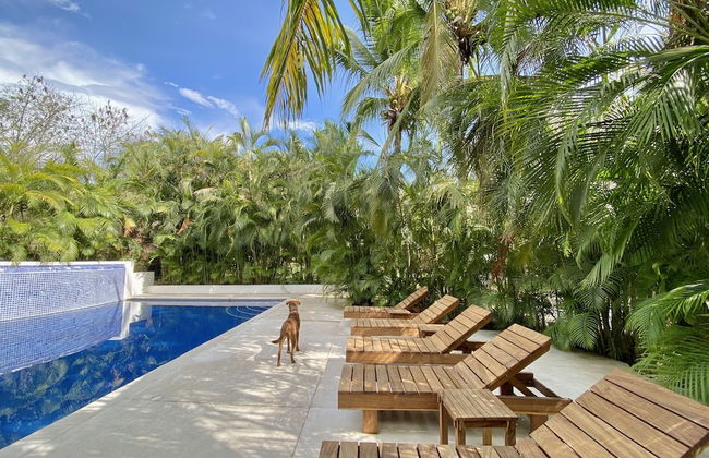 Villa Palomas A Unos Pasos De Playa La Ropa - Foto 20