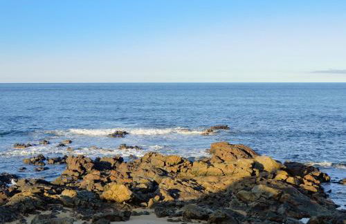 The Beachcomber - Photo 14