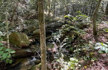 Hilltop Haven w/Creek&Waterfall Dntwn McCaysville - Photo 18