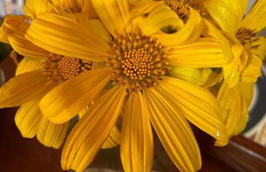 Chalé Cabana Lumiar - Foto 33