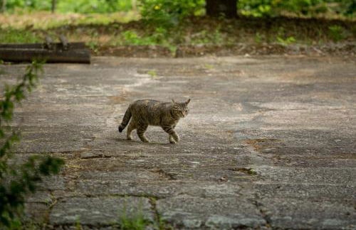 Quinta de Lourosa - Foto 11