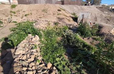 Habitación independiente La gata pequeña - Foto 30