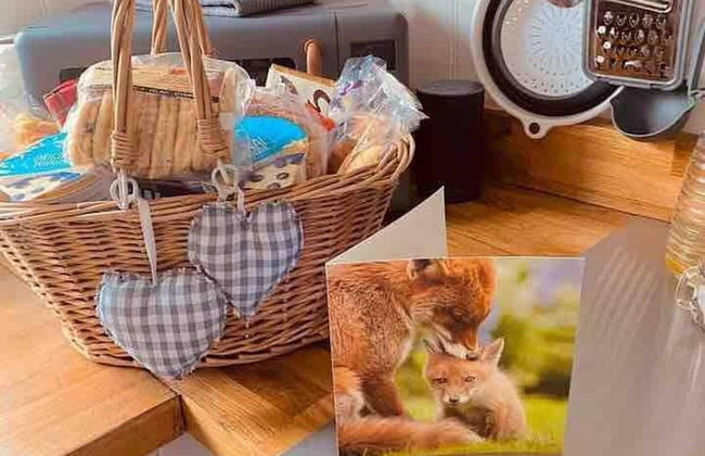 A Beautiful, Unique Lodge, Made for two - Photo 57