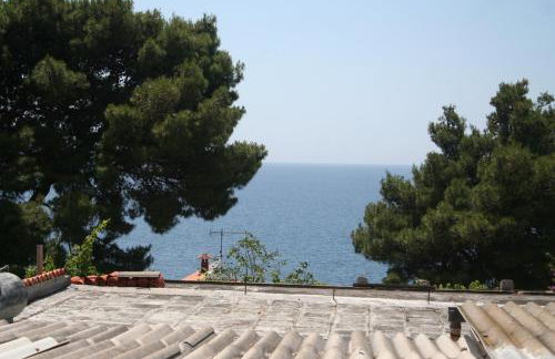 Apartments by the sea Bilo, Primosten - 3090 - Photo 18