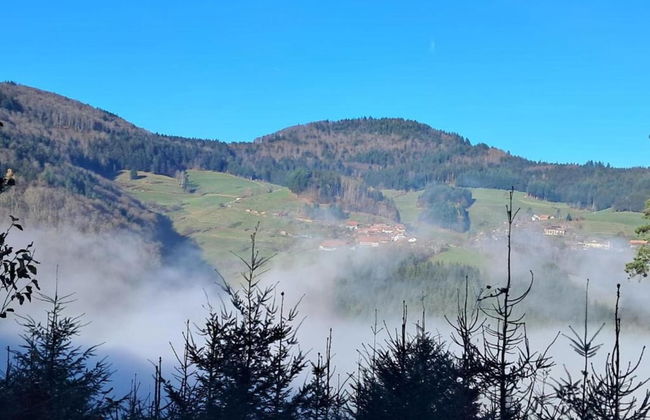 Apartment in Kleines Wiesental - Foto 34