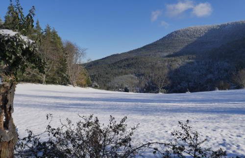 Gîte du Pré au Miel en plein coeur de l'Alsace - Foto 40