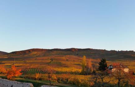Appartement Côté Vignes avec Terrasse et Parking - Foto 23
