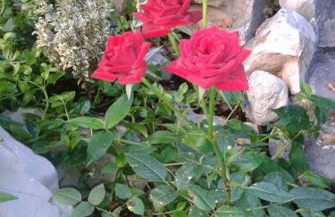 Apartment Tomecek - Foto 25