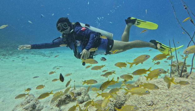 Explorando los fondos marinos de San Andrés