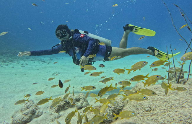 Beginners Scuba Diving in San Andrés - Foto 4