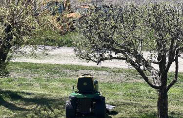 Charming 1 bedbath Suite in waterfront Cottage - Foto 15