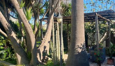 TERRA DI MARE LOC. TURISTICA - Foto 1, Garden