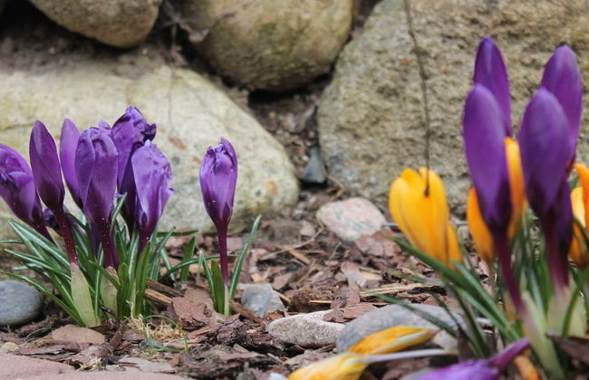 Restful Apartment in Neukloster Germany near Lake - Foto 15