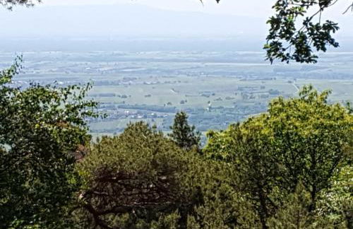 Ferienhaus Hedwig - Foto 31