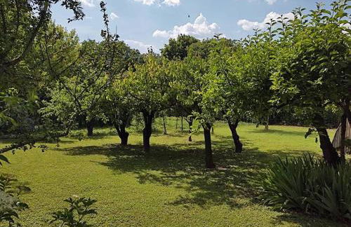 Le Mas des Cigales avec parc et grande piscine - Foto 33