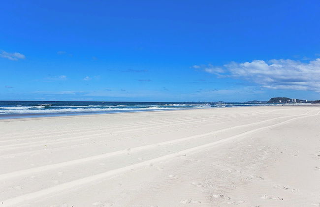 Surfsong on Miami Beach - Photo 33