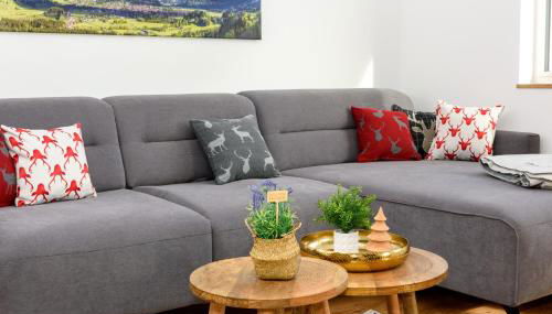 Berg Fux ideal für Familien mit Hund, 2 Schlafzimmer, Balkon, Parkplatz - Foto 4